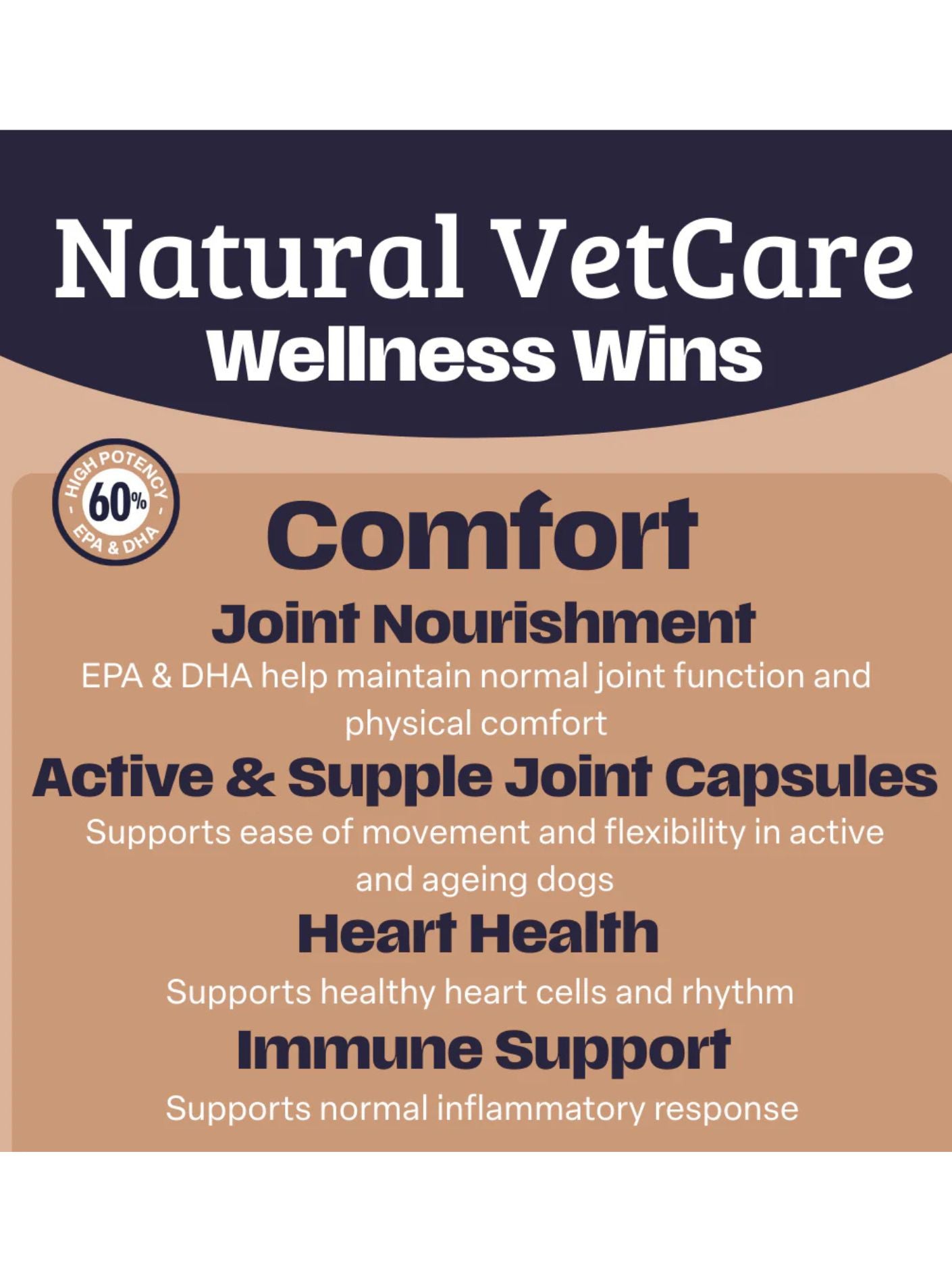Comfort Oil- Natural Vet Care