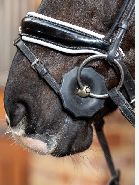 Le Mieux Contoured Rubber Bit Guards