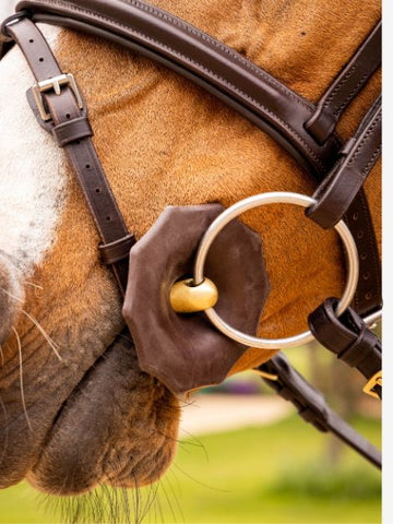 Contoured Rubber Bit Guards- Le Mieux