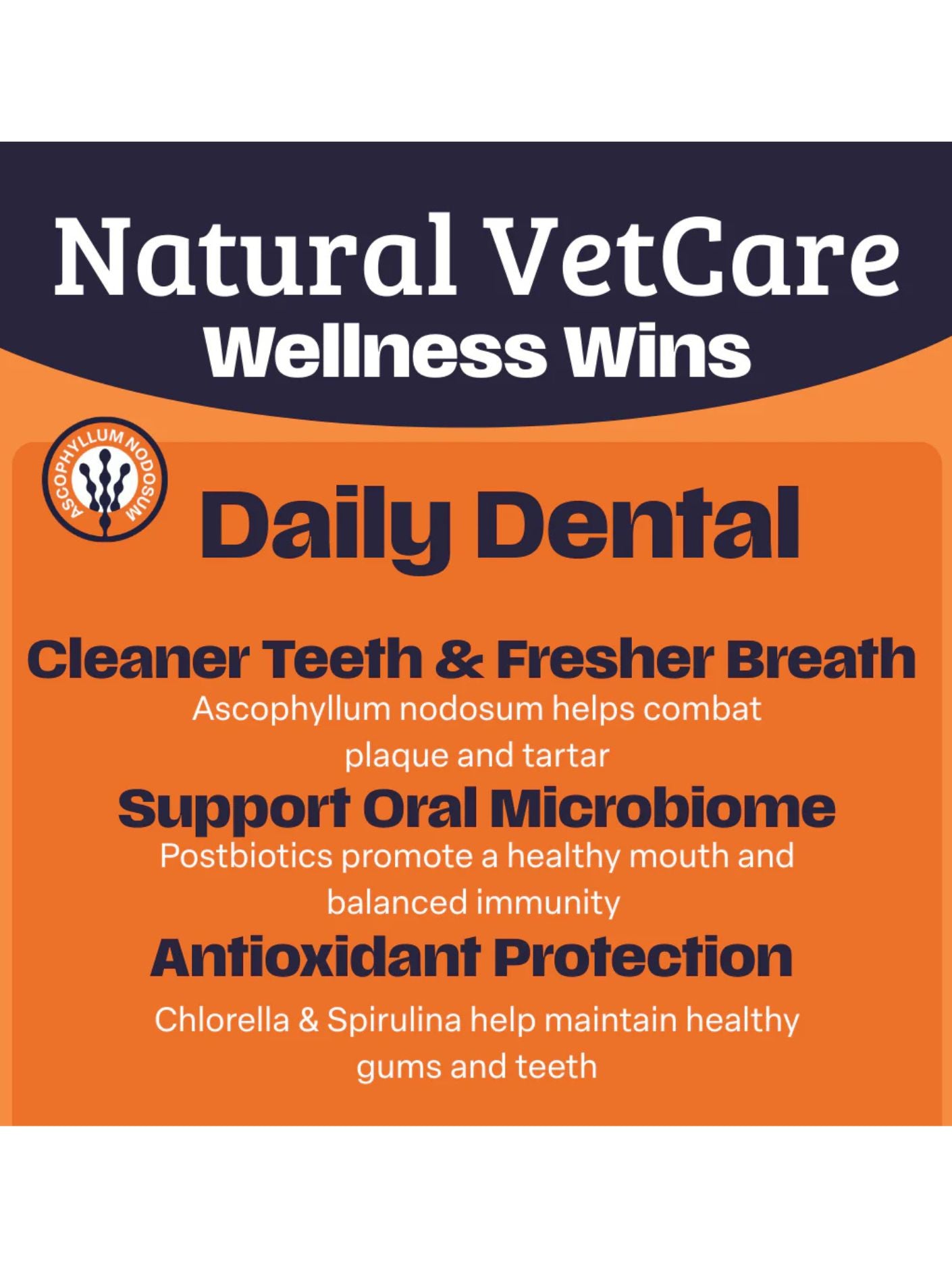 Daily Dental Powder - Natural Vet Care