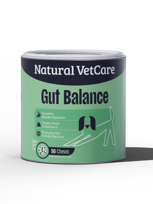 Daily Gut Balance Chews - Natural Vet Care