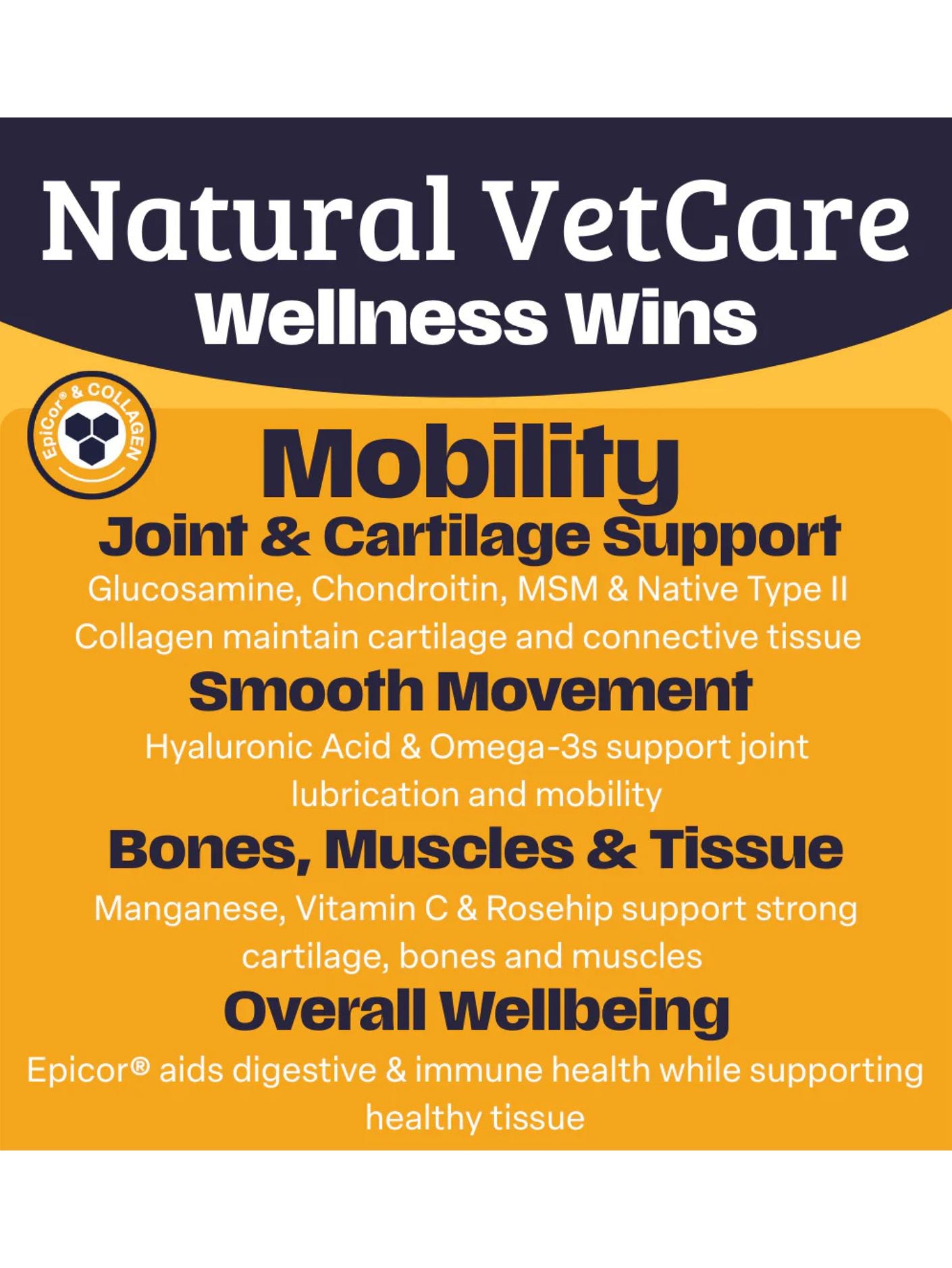 Daily Mobility Chews - Natural Vet Care