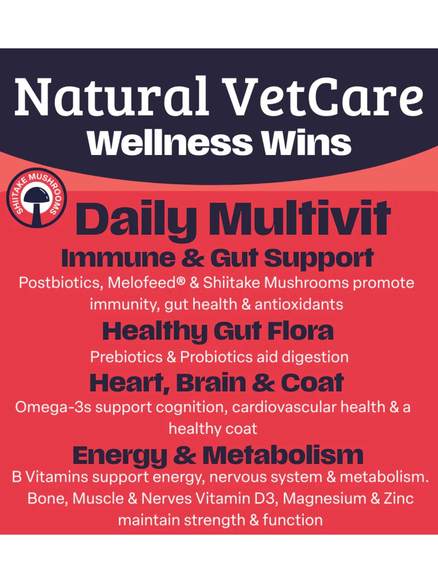 Daily MultiVit Chews - Natural Vet Care