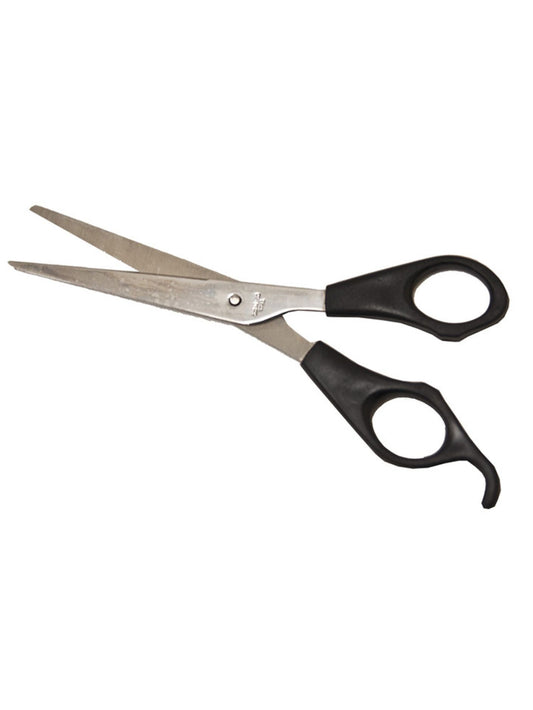 Economy Scissors