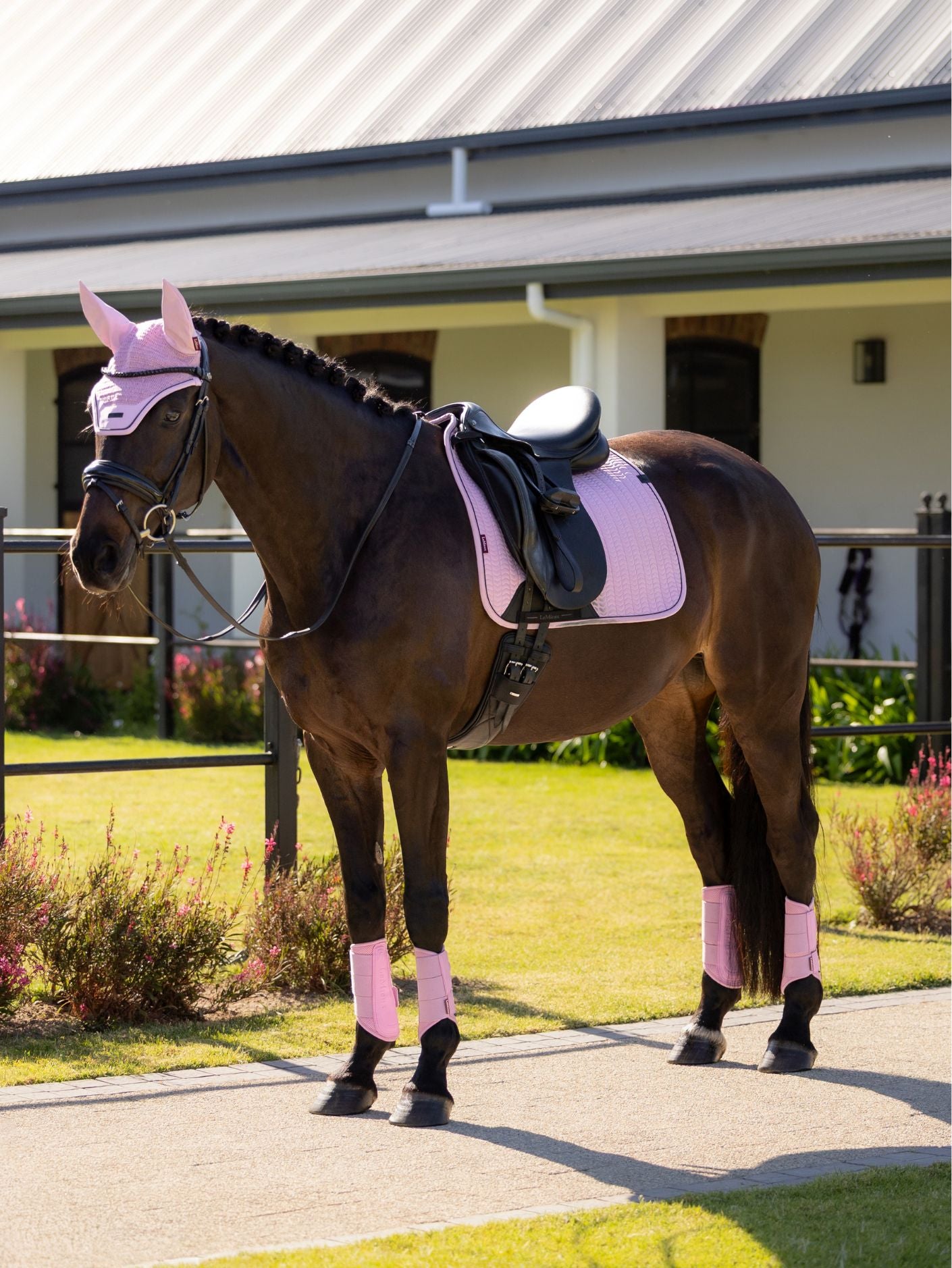 Le Mieux Essence Dressage Saddle Pad