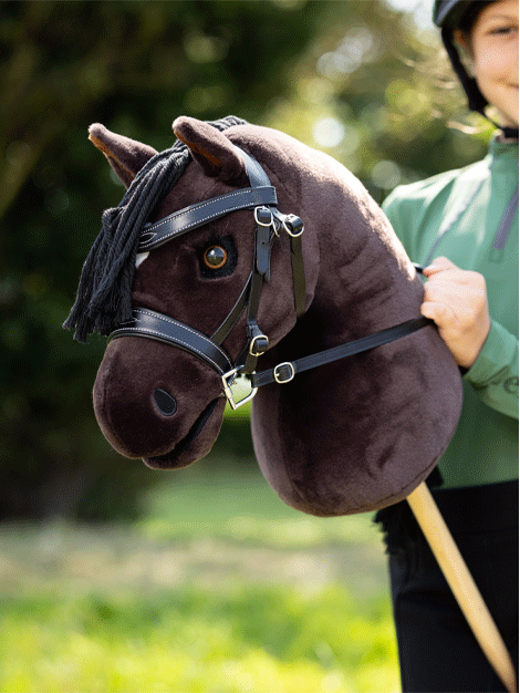 Hobby Horse From Le Mieux