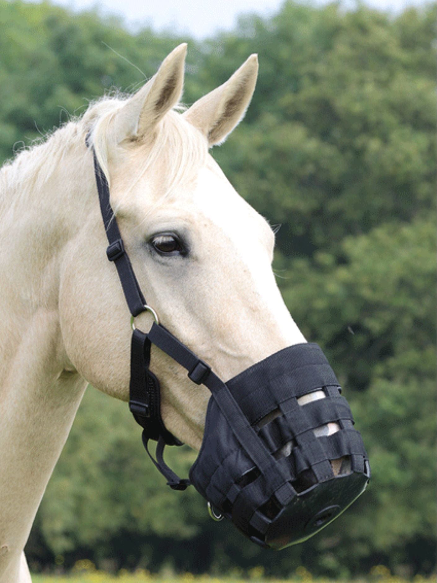 Grazing Muzzle
