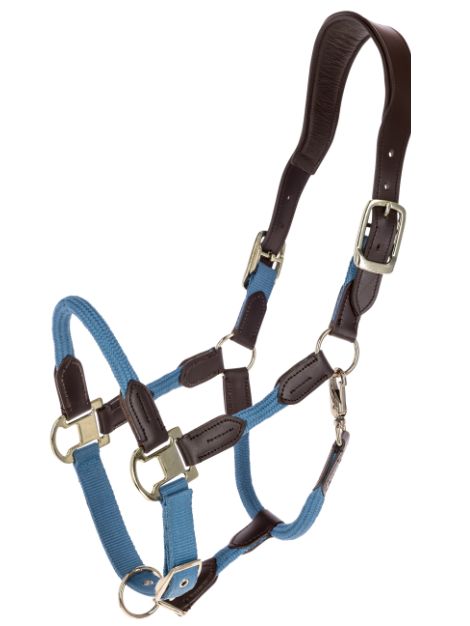 Covalliero Cordano Headcollar