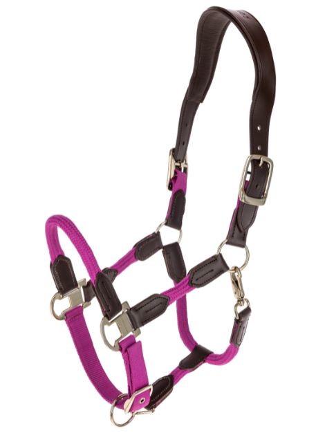 Covalliero Cordano Headcollar