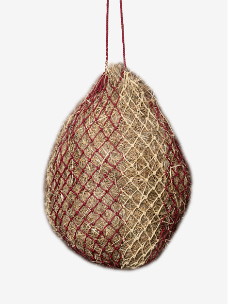 Hippo Haynet