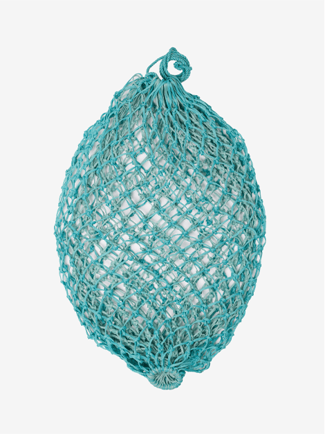 Hippo Haynet