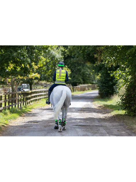 Hi Vis Waistcoat - Please Pass Wide and Slow - Woof Wear