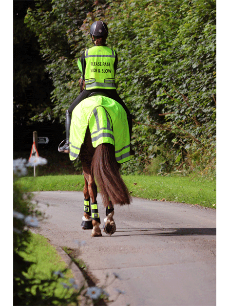 Hi Vis Waistcoat - Please Pass Wide and Slow - Woof Wear