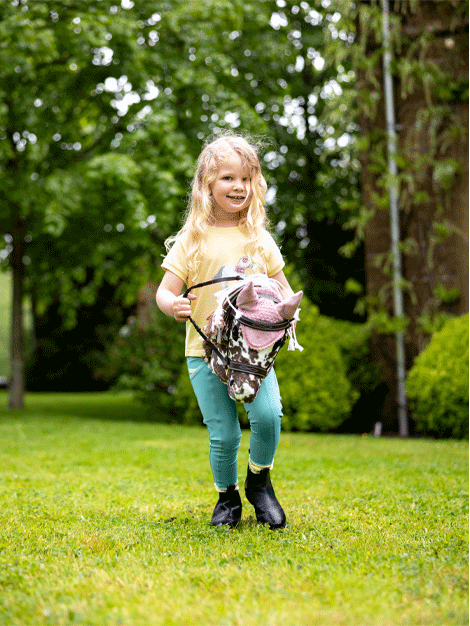 Hobby Horse From Le Mieux