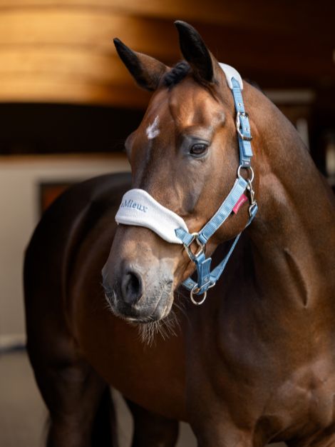Le Mieux Vogue Fleece Headcollar and Leadrope Set
