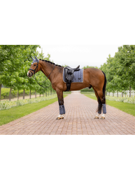 Le Mieux Loire Legacy Dressage Saddle Square