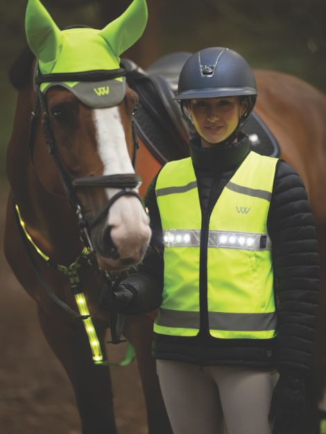 LED Hi Viz Riding Vest