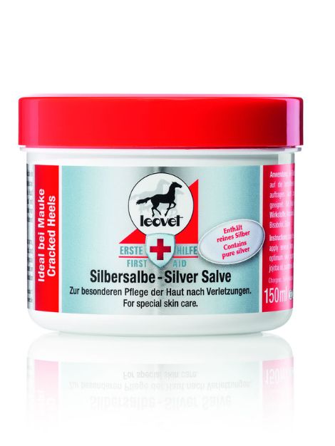 Silver Salve- Leovet