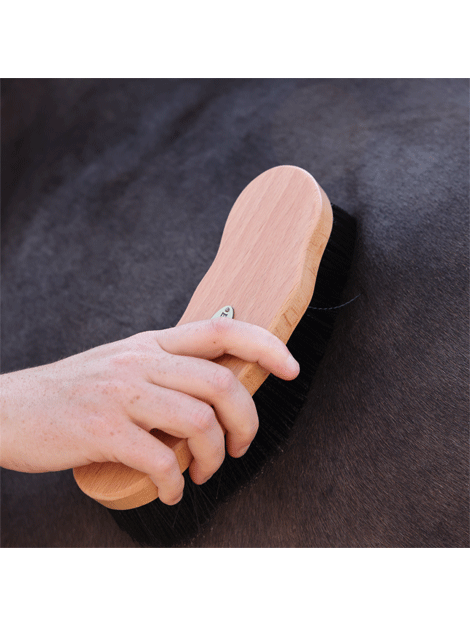 Premium Wooden Dandy Brush