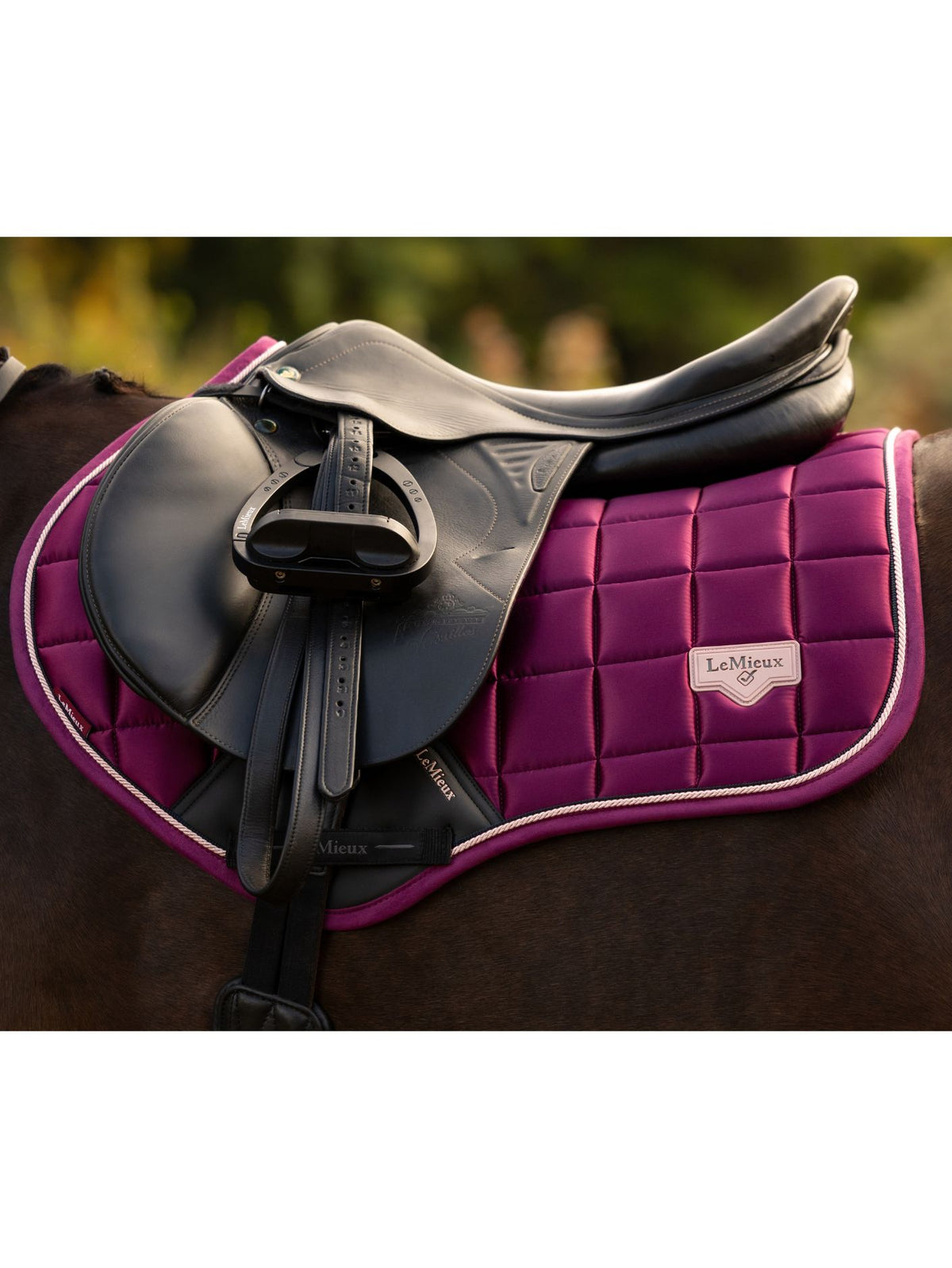 Le Mieux Loire Close Contact Saddle Square Blackberry