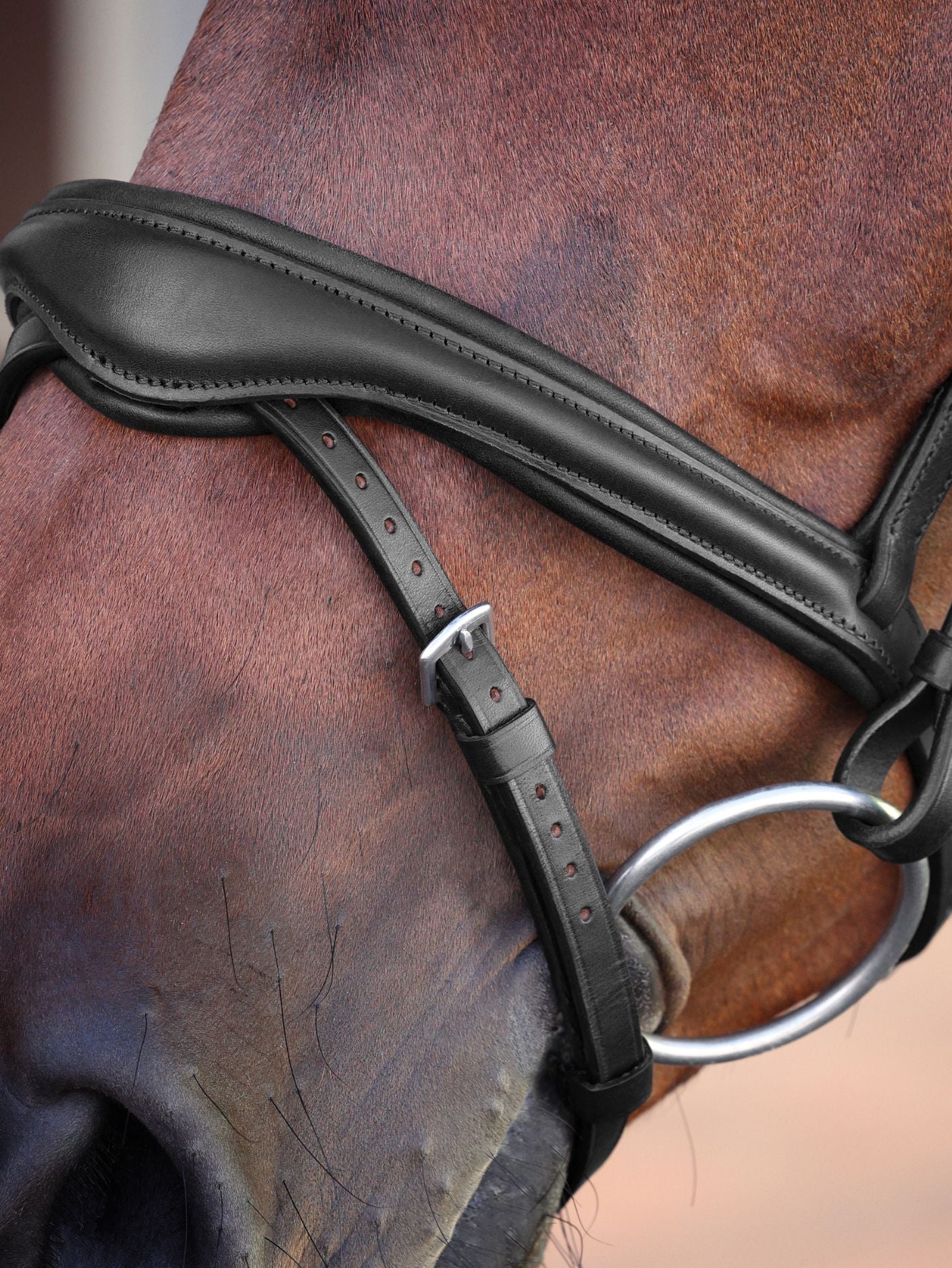Velociti Lusso Elite Flash Bridle