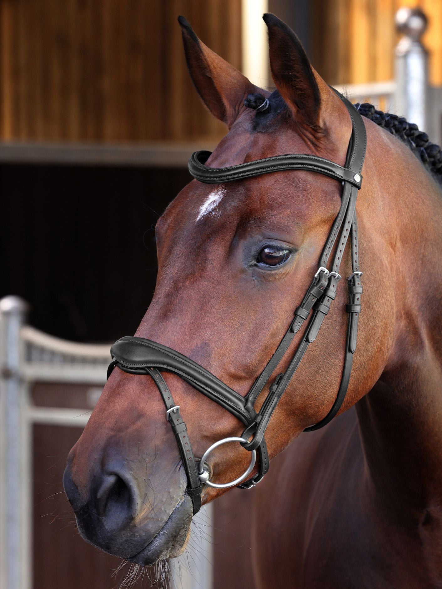 Velociti Lusso Elite Flash Bridle