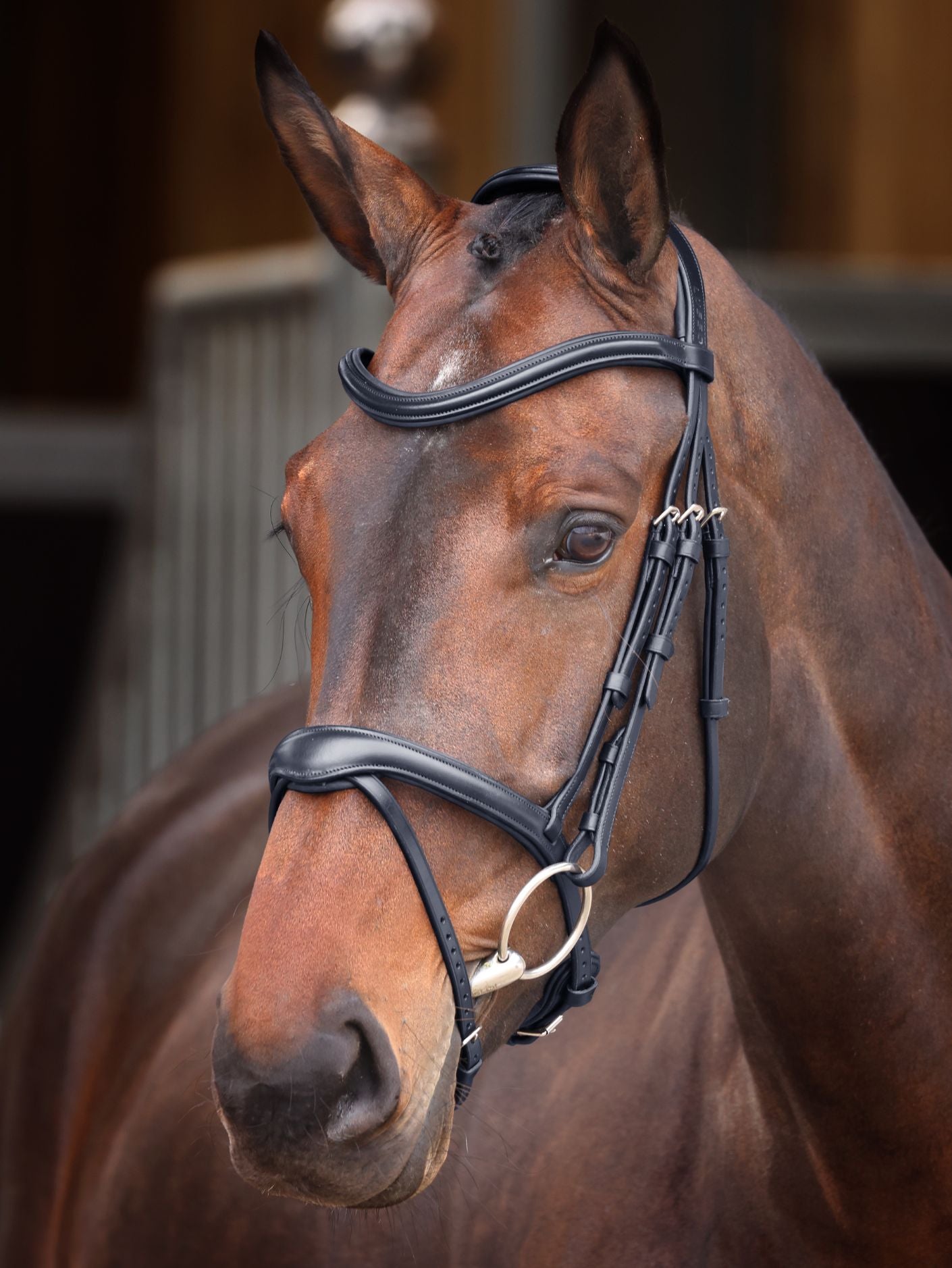 Velociti Lusso Elite Flash Bridle