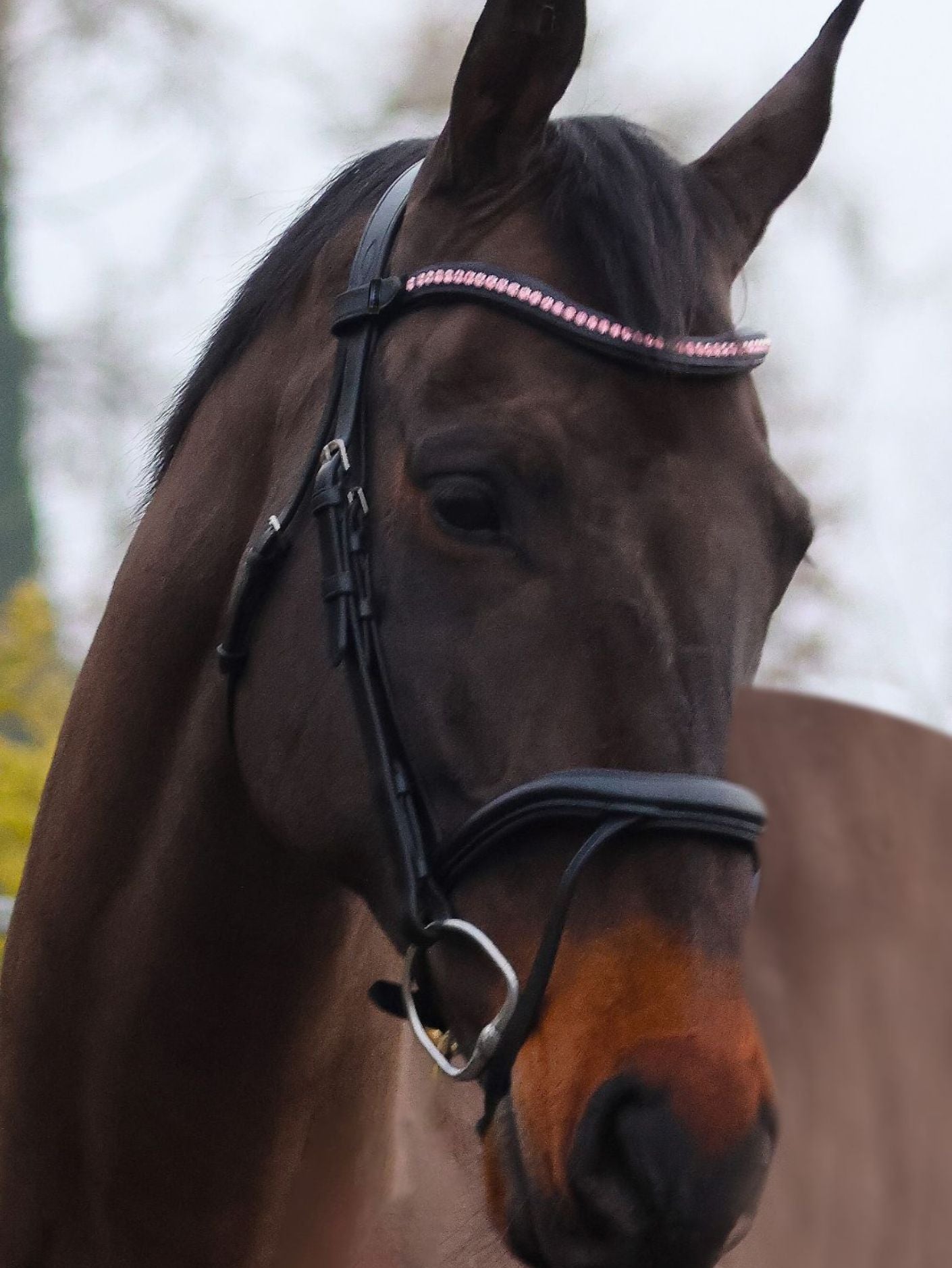 Mackey Sparkle Browband Baby Blue