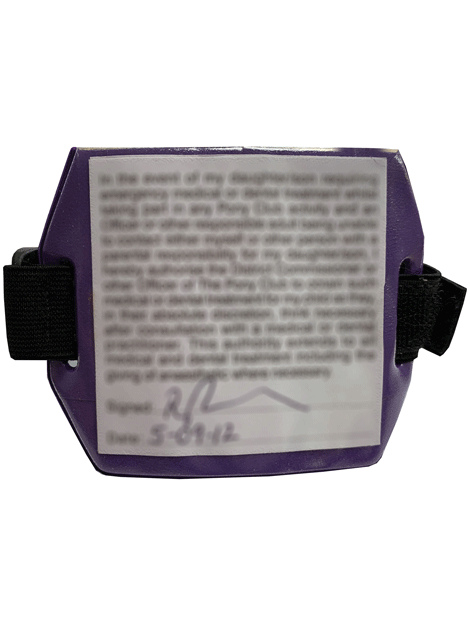 Child's Medical Armband