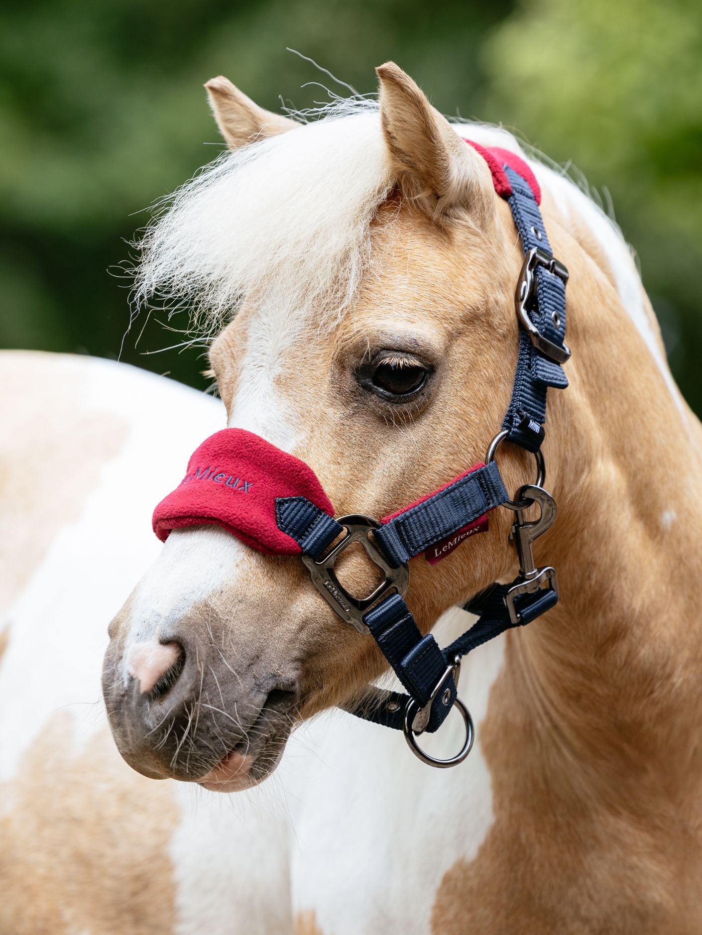 Mini LeMieux Vogue Fleece Headcollar and Leadrope Set
