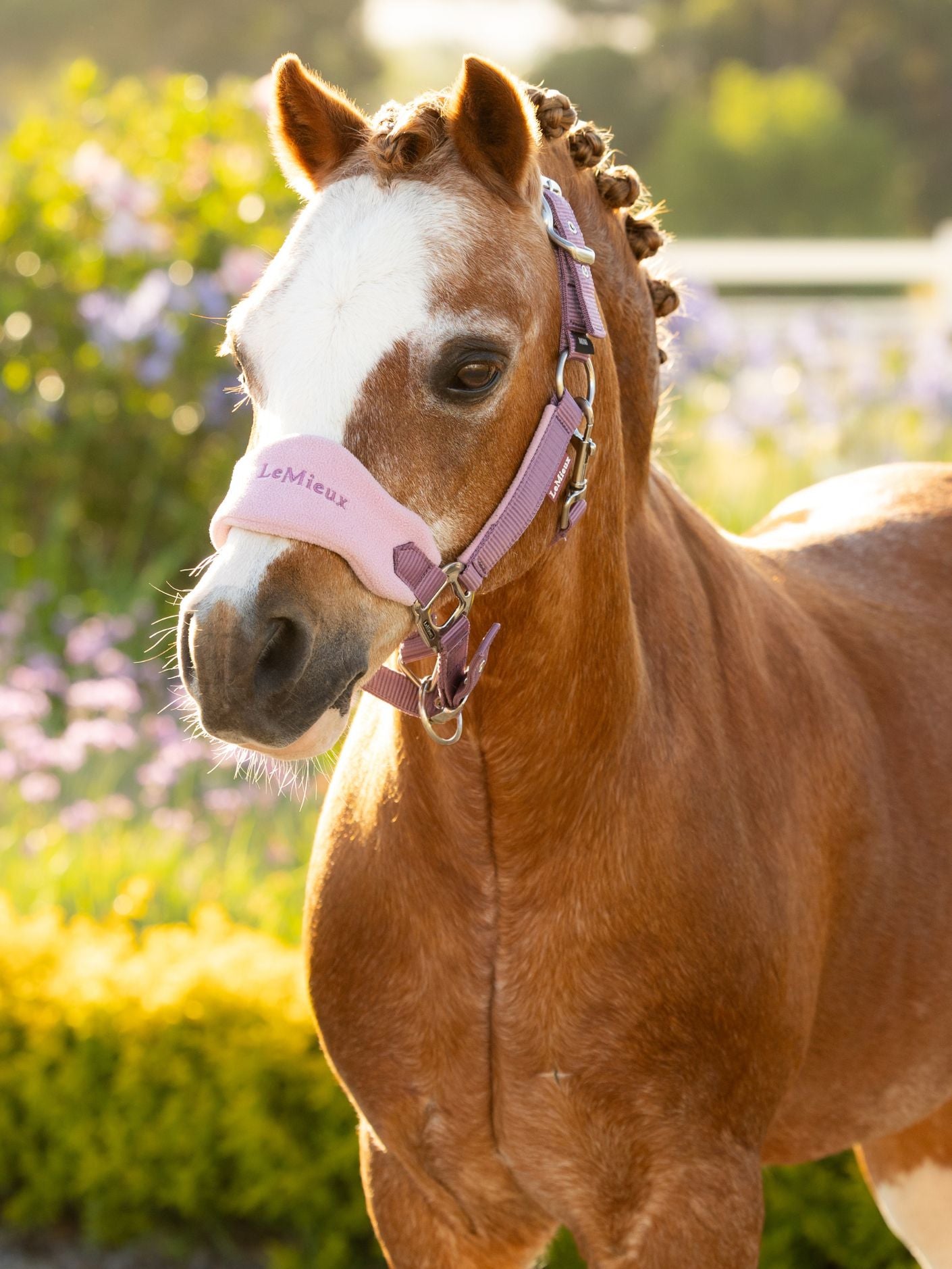 Mini LeMieux Vogue Fleece Headcollar and Leadrope Set