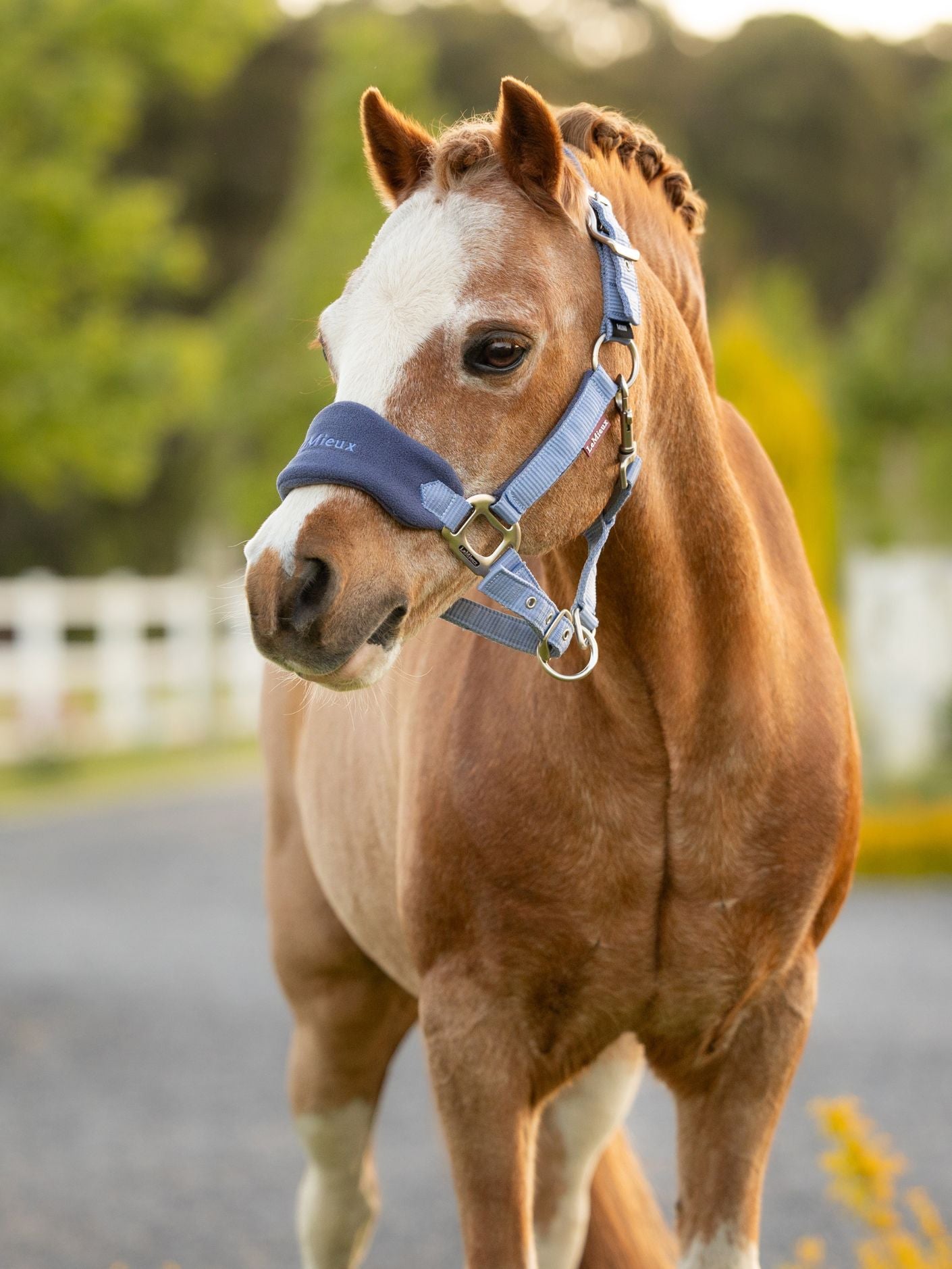 Mini LeMieux Vogue Fleece Headcollar and Leadrope Set