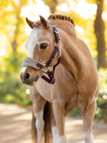 Mini LeMieux Vogue Fleece Headcollar and Leadrope Set