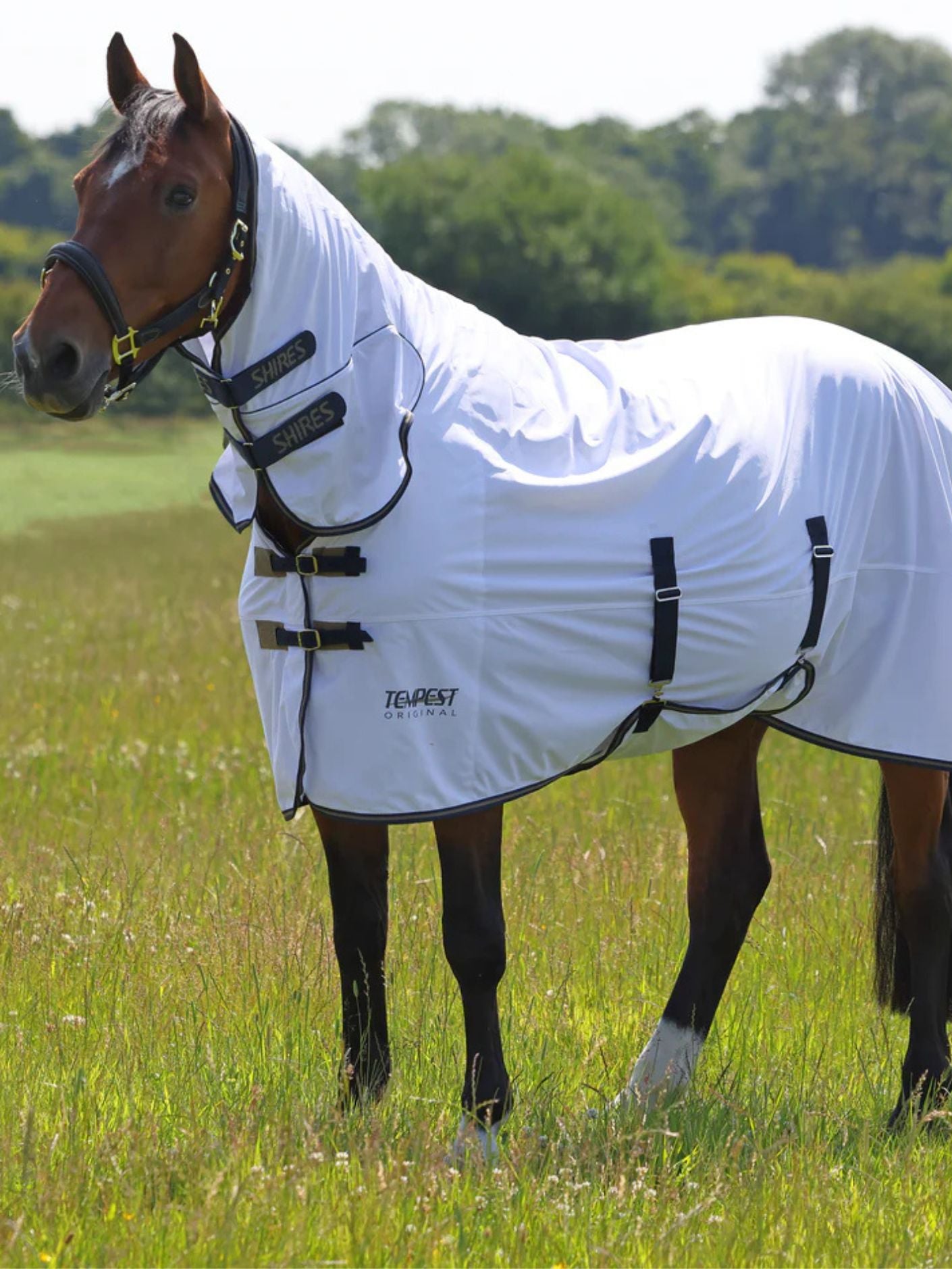 Shires Tempest Original Fly Combo Rug