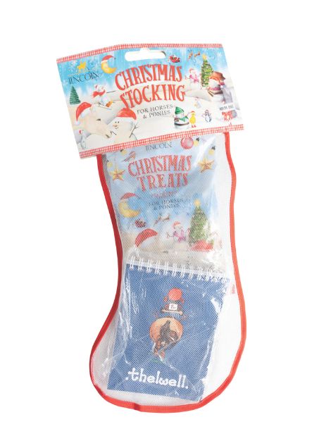 Pony Mad Christmas Stocking