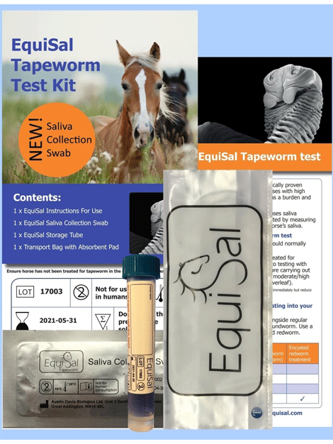 Equi-Sal Test