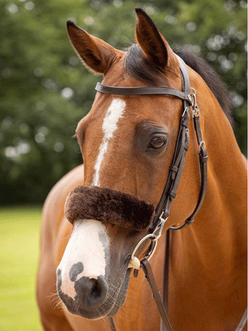 Simuwool Noseband Cover
