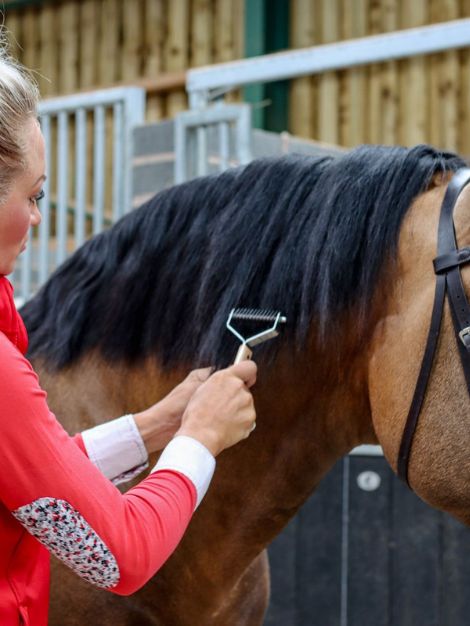 Smart Manes Thinning & Tidying Rake