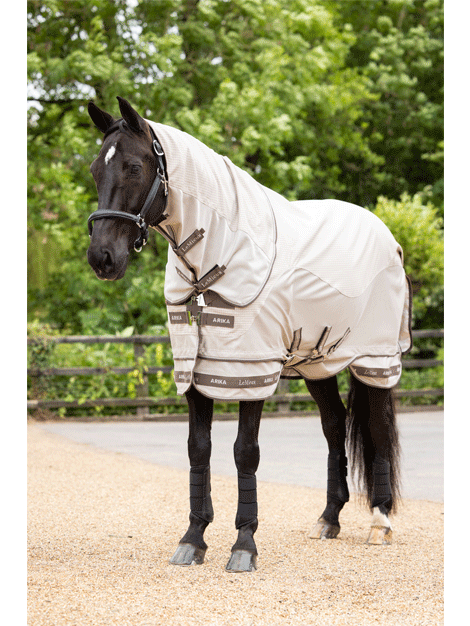 Arika Sunstopper Rug- Stone