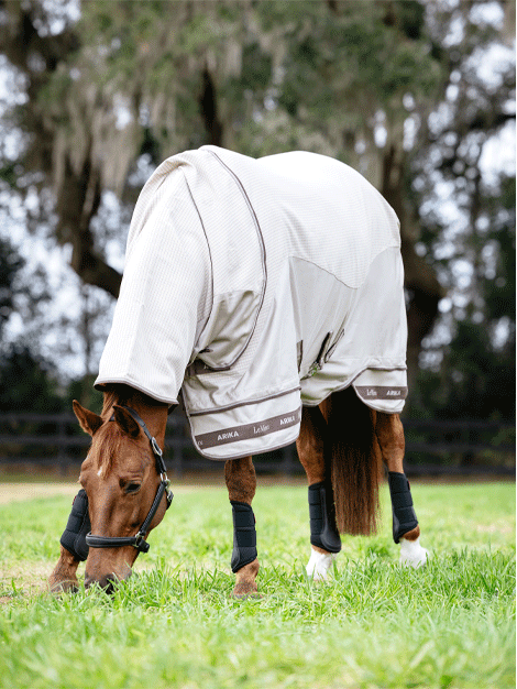 Arika Sunstopper Rug- Stone