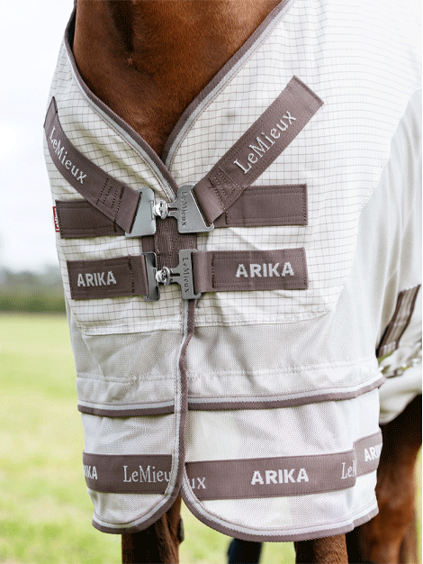 Arika Sunstopper Rug- Stone