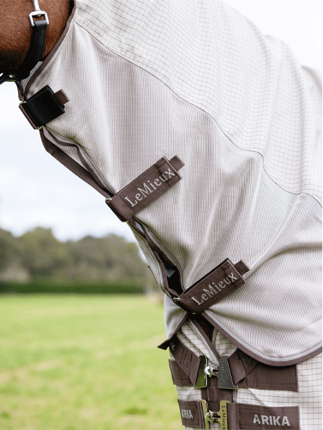 Arika Sunstopper Rug- Stone