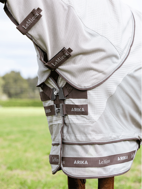 Arika Sunstopper Rug- Stone