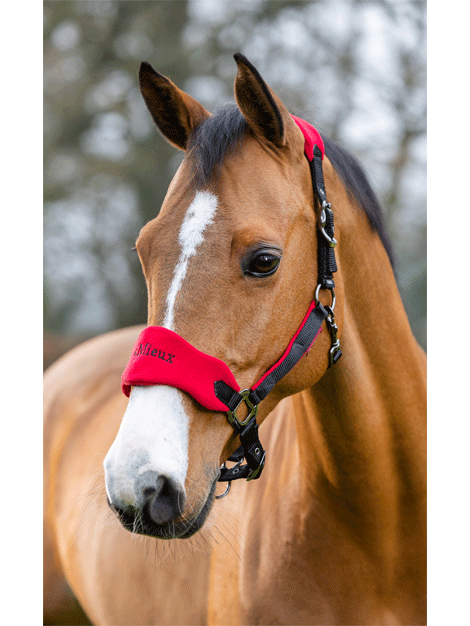 Le Mieux Vogue Fleece Headcollar and Leadrope Set