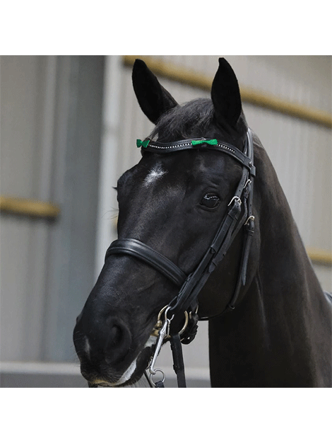 Competition Warning Bridle Ribbons
