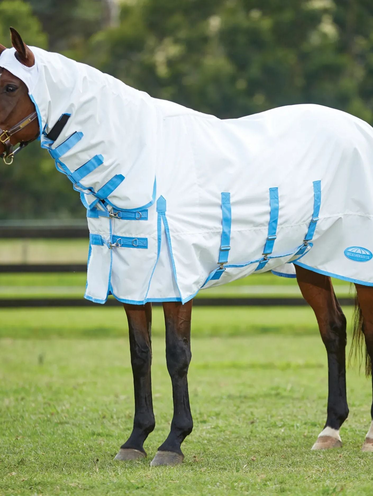 Weatherbeeta Comfitec Sweetitch Shield Combo Rug