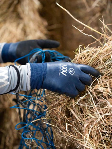 Winter Yard Glove