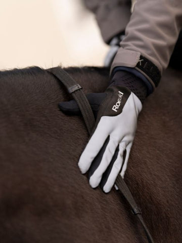 Roeckl Wolfach Winter Riding Gloves - Silver Reflective
