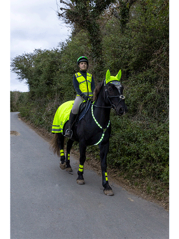 LED Neckband- WoofWear