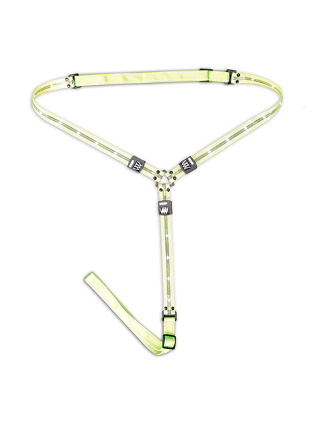LED Neckband- WoofWear